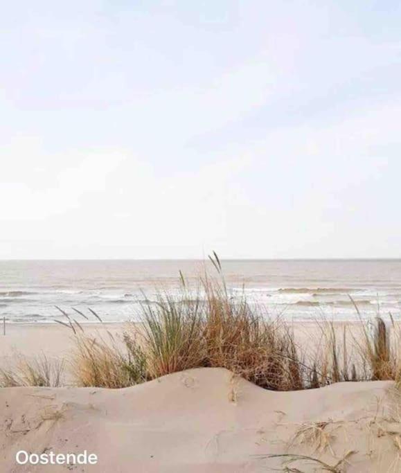 Ostend Chic, Luxe Loftstijl In Oostende Exterior photo